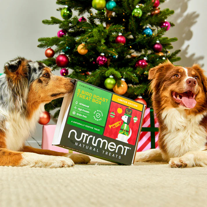 Two dogs sitting on a couch with a Nutriment treat box in front of a decorated Christmas tree.