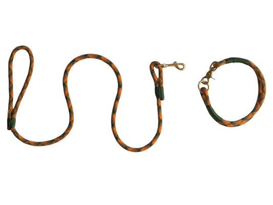 Maple syrup rope collar and lead