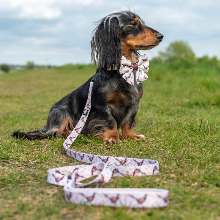 aDoraBle Pooch farmland pheasant dog lead example