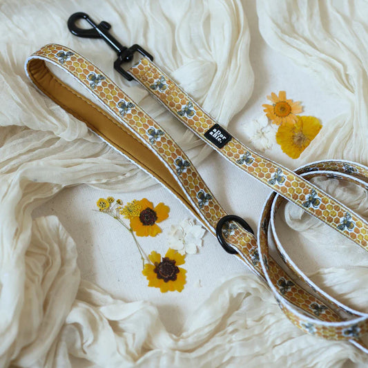 aDoraBle Pooch honeycomb hive dog lead design