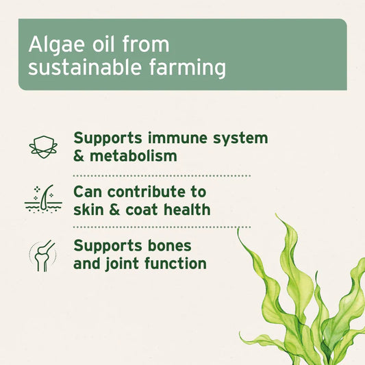 Aniforte algae oil properties