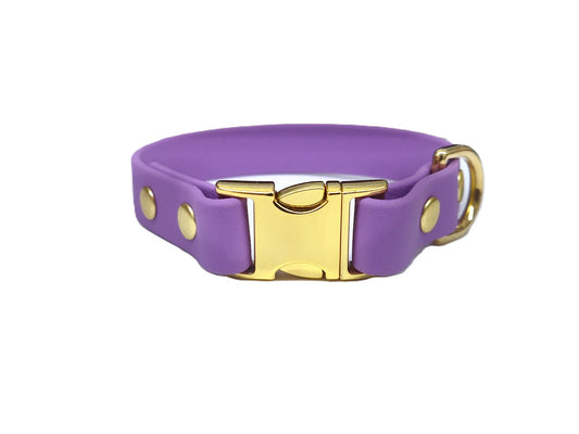 Amethyst Toy Breed Waterproof Dog Collar