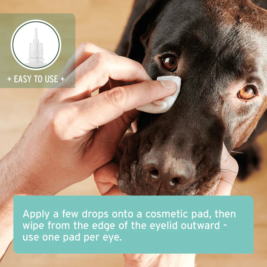 Aniforte gentle eye care fluid guidelines