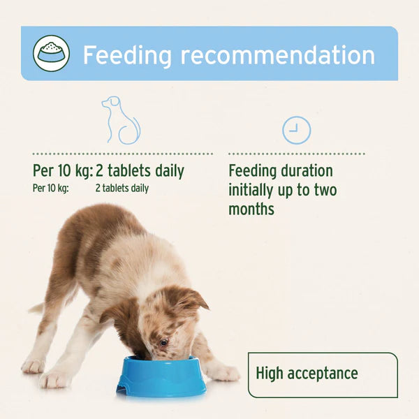 Aniforte plus coat and skin guidelines