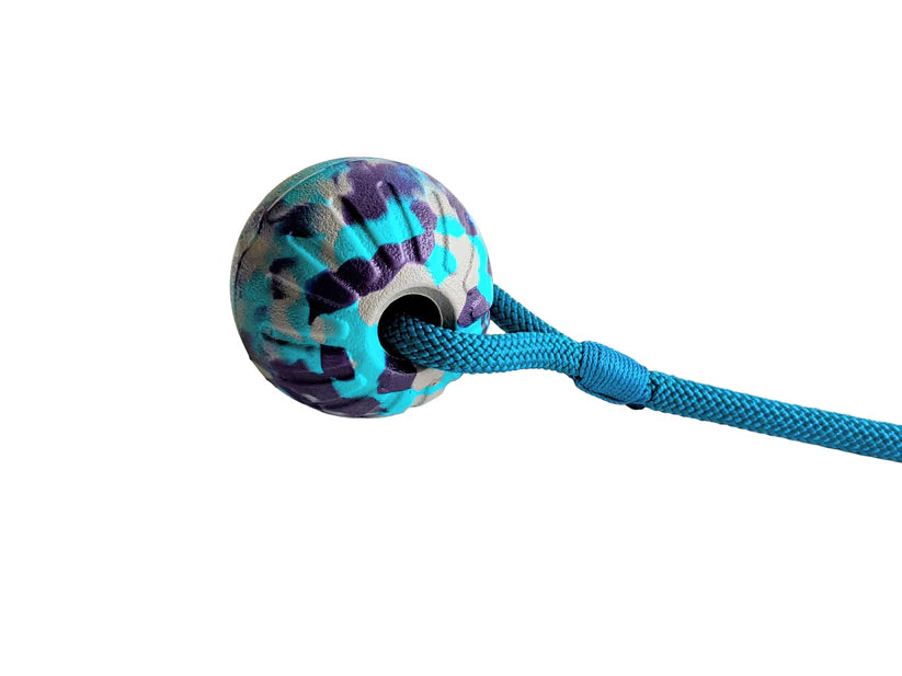 Water play dog toys
