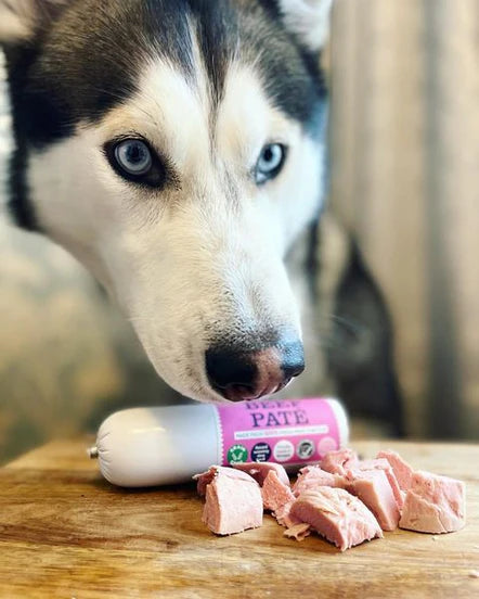 JR Pure Beef Dog Pate