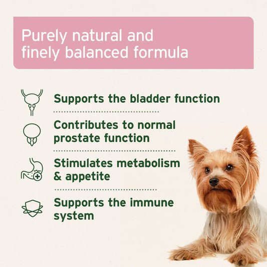 AniForte Bladder Formula for Dogs | Natural Urinary & Bladder Support Supplement