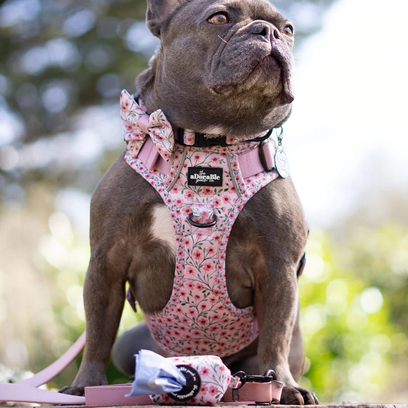 aDoraBle Pooch hike and go lite blushing blossoms harness example