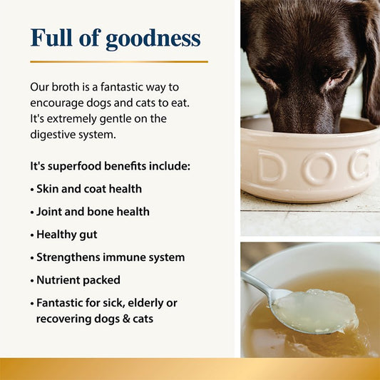 Dog drinking from a bowl with text about dog broth benefits on a white background
