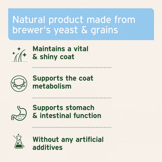 Aniforte brewers yeast powder properties