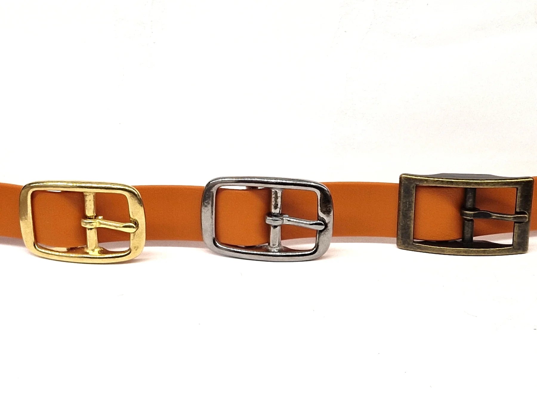 Burnt Orange dog collar buckle