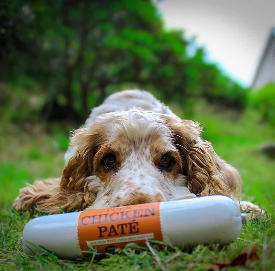 JR Pure Chicken Dog Pate