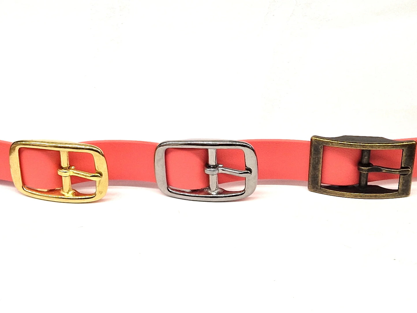 Coral dog collar buckles