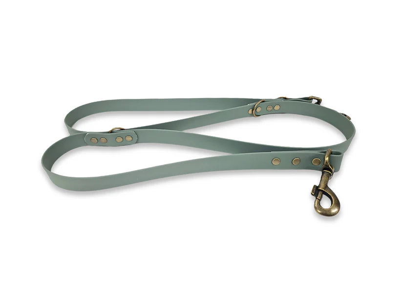 Waterproof Training Leads Silver or Gold Hardwear