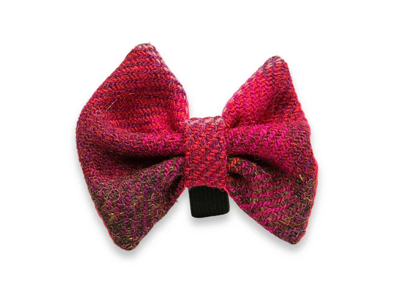Harris Tweed Deep Fuchsia Dog Bow Tie