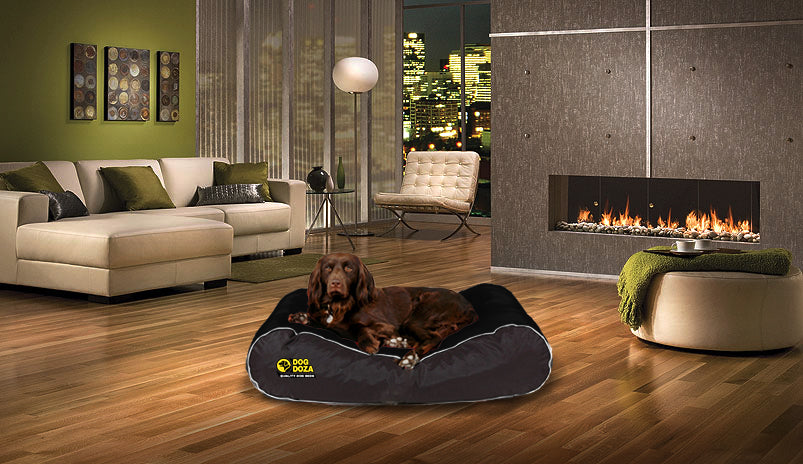 Waterproof Box Border Dog Bed