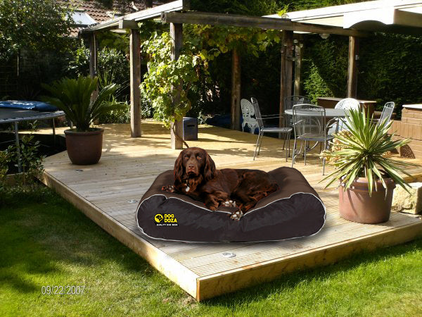 Dog Doza Waterproof Box Border Dog Bed Brown