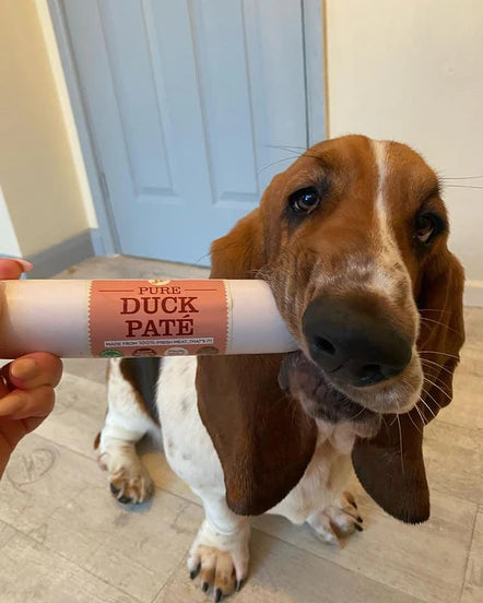 100% Natural Duck Dog Pate