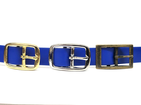 Electric blue dog collar buckles