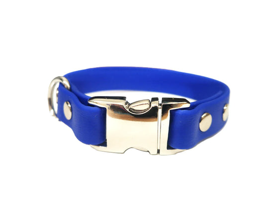 Electric Blue Toy breed Waterproof Dog Collar