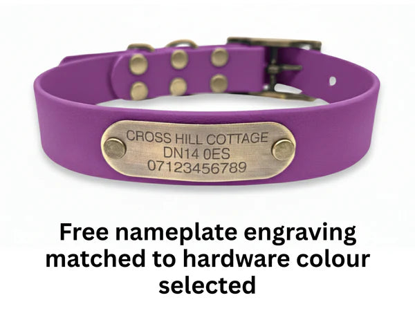 Waterproof biothane grape buckle collar engraving