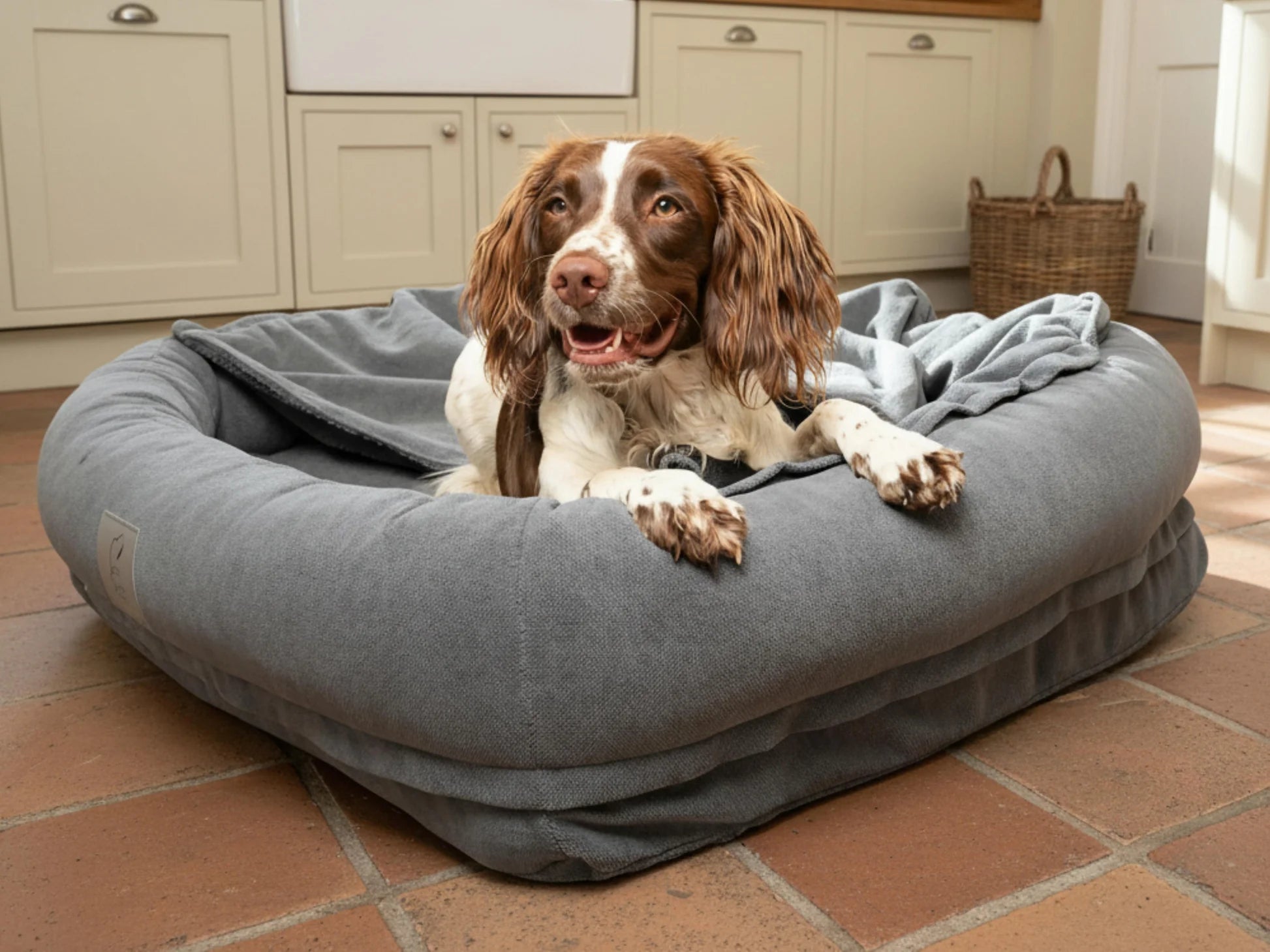 2 in 1 dog bed with built in blanket