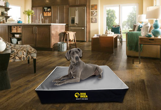 Waterproof dog doza memory foam slab dog bed grey and black