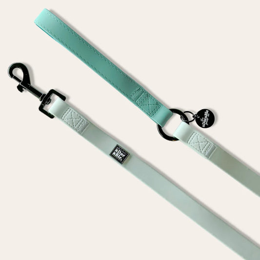 aDoraBle Pooch hydroflex waterproof dog lead frosted mint