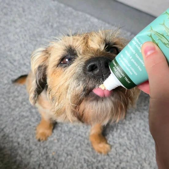 Dog being given a pill by a person using JR Herring Fish Paste for Dogs | 54% Herring Dog Treat