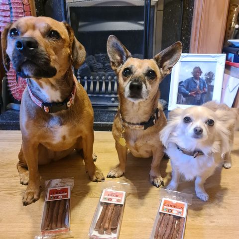 JR Pure Chicken & Grain free Dog treats