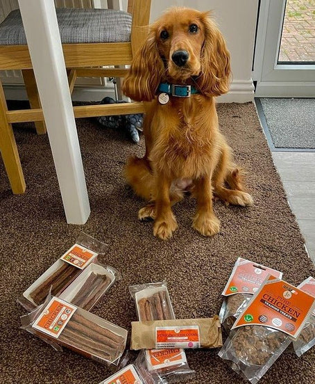 JR Pure Chicken Sticks for Dogs