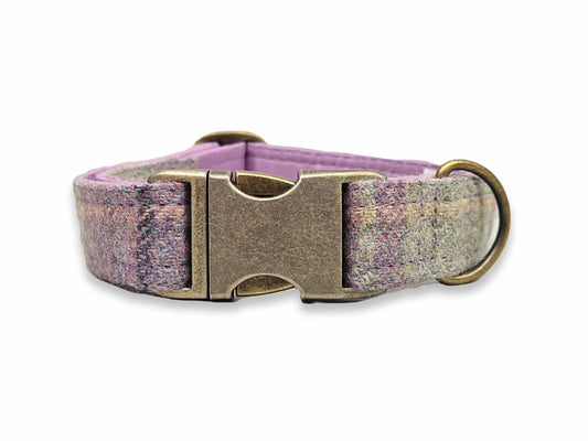 Abraham Moon Kincraig Heather Clasp Dog Collar Personalised engraving