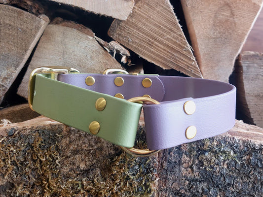 Mauve and green dog collar