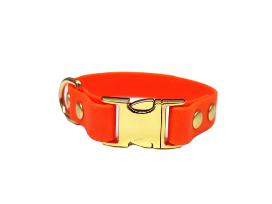 Neon Orange Toy breed Waterproof Dog Collar