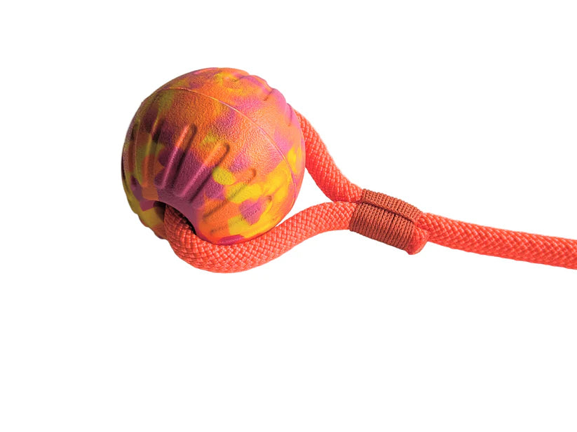 Dog tug and fetch toy