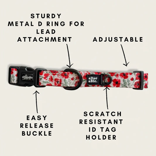 aDoraBle Pooch painted poppy dog collar features