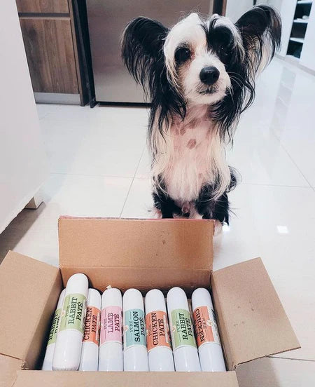 JR Pure Dog Pate Variety Box