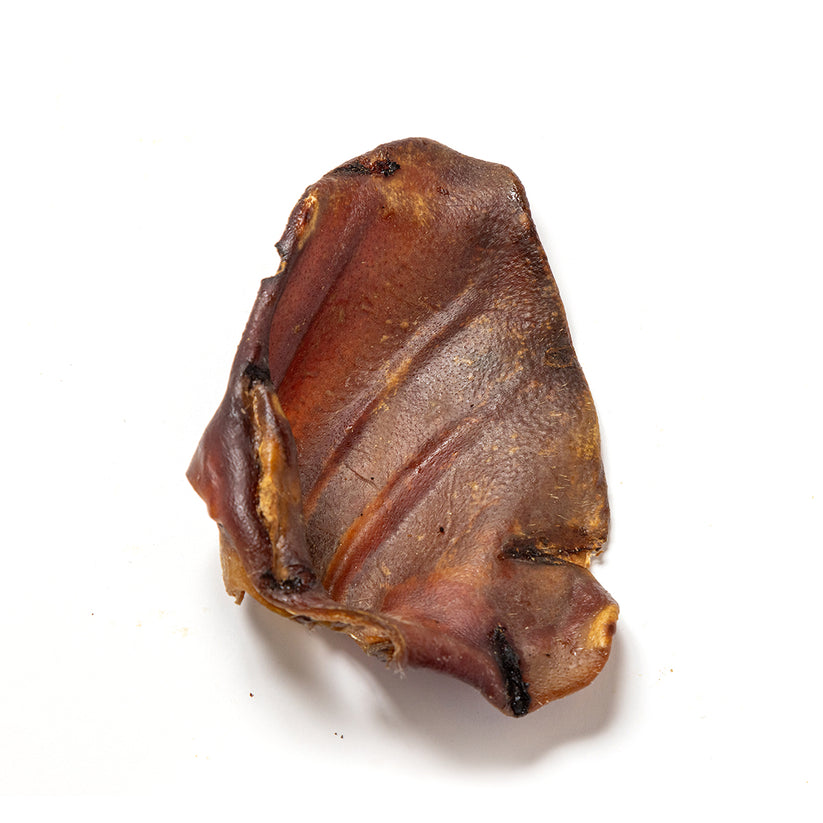 Premium Large Pigs Ears
