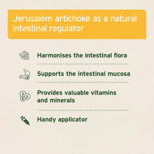 Prebiotic jerusalem artichoke concentrate properties