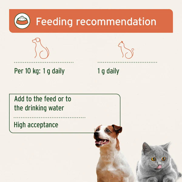 Aniforte colostrum powder guidelines