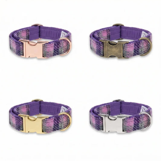 Four Clasp options, dog collars with purple and pink plaid fabric, arranged in a 2x2 grid on a white background. Each collar has a different metal buckle: rose gold, antique bronze, gold, and silver.