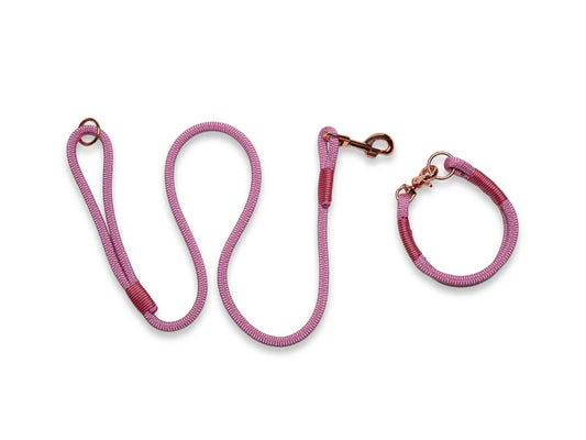 rose pink rope collar and lead