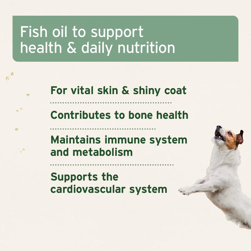 Fish oil benefits for health and nutrition for dogs, cats & Horses