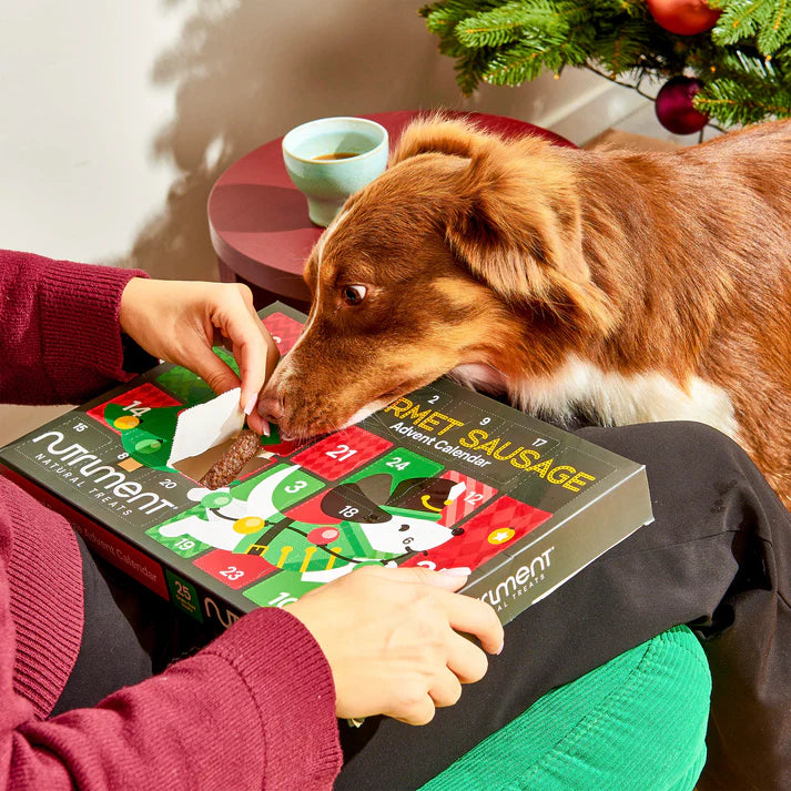 Dog sniffing a Nutri-Men Advent Sausage calendar with a person's hand, surrounded by a festive setting.