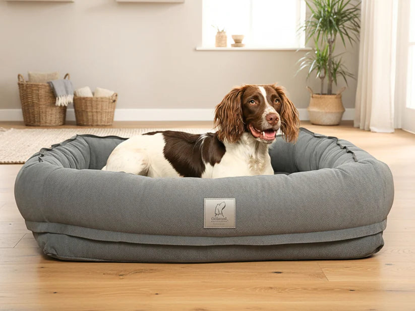 Convertible Dog Bed