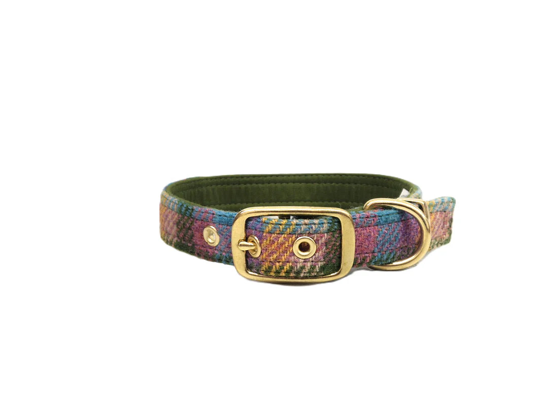 Spring Garden Check Luxury Harris Tweed Buckle Dog Collar