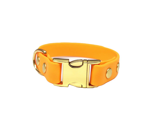 Tangerine Orange Toy breed Waterproof Collar