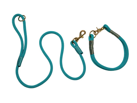 Teal rope collar and lead