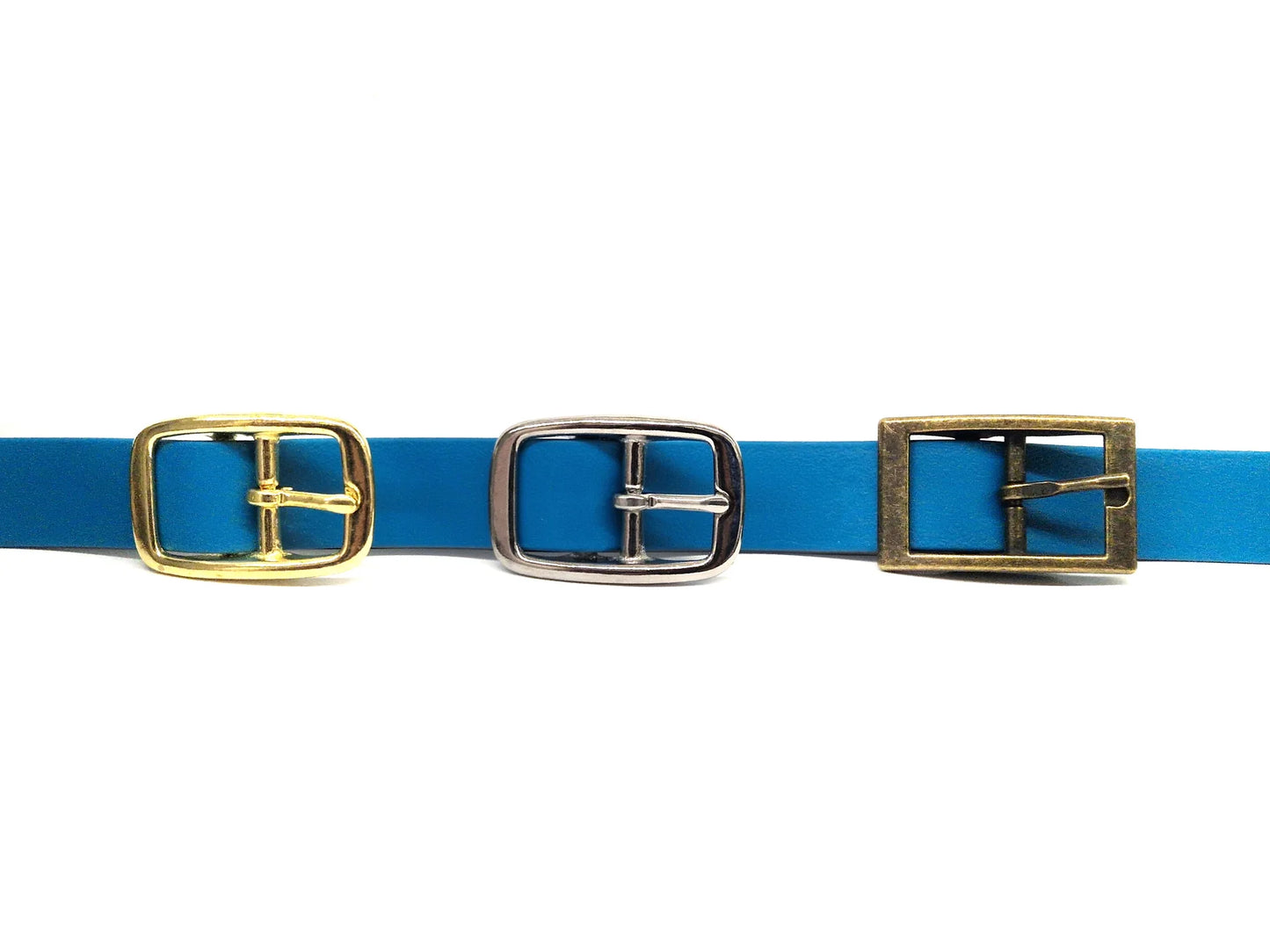 Turquoise collar buckles