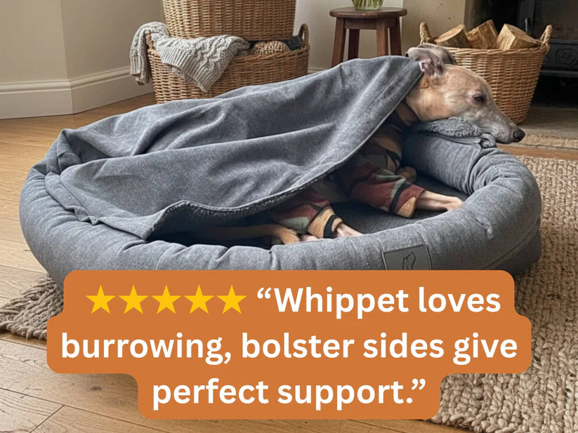 Burrowing dog beds great for greyhounds and Whippets